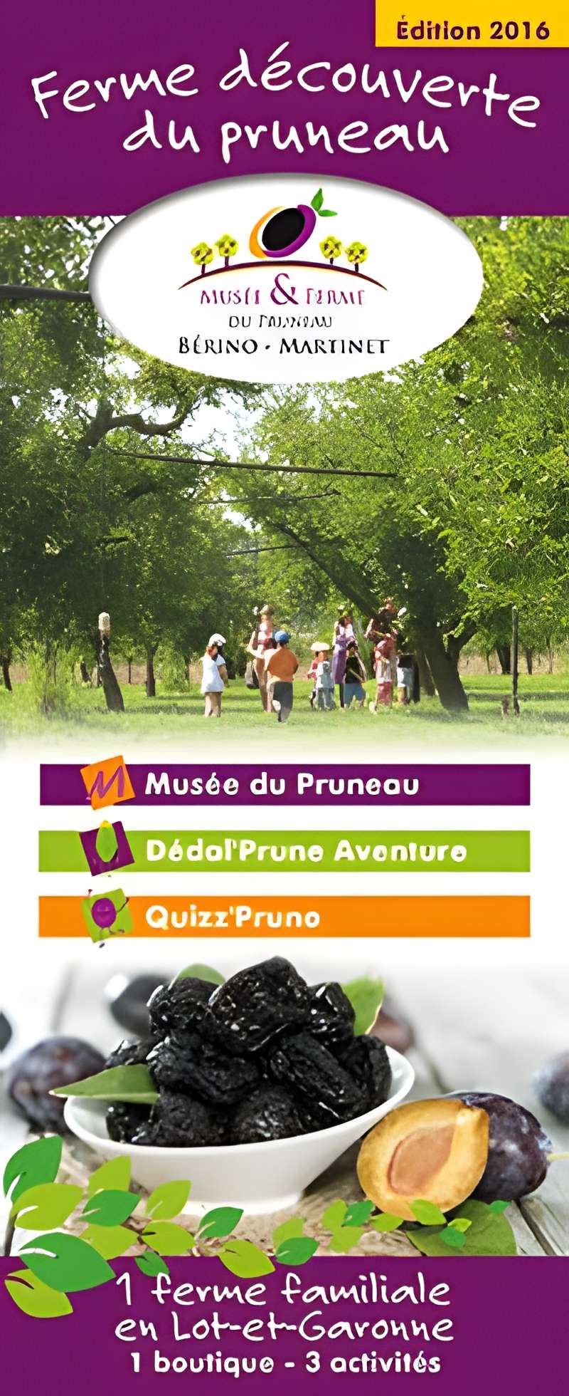 Musée et Ferme du Pruneau à Lafitte sur Lot 