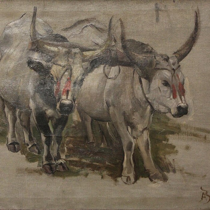 Photo de Musée des beaux-arts de Pau