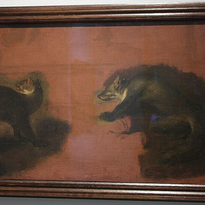 Photo de Musée des beaux-arts de Pau