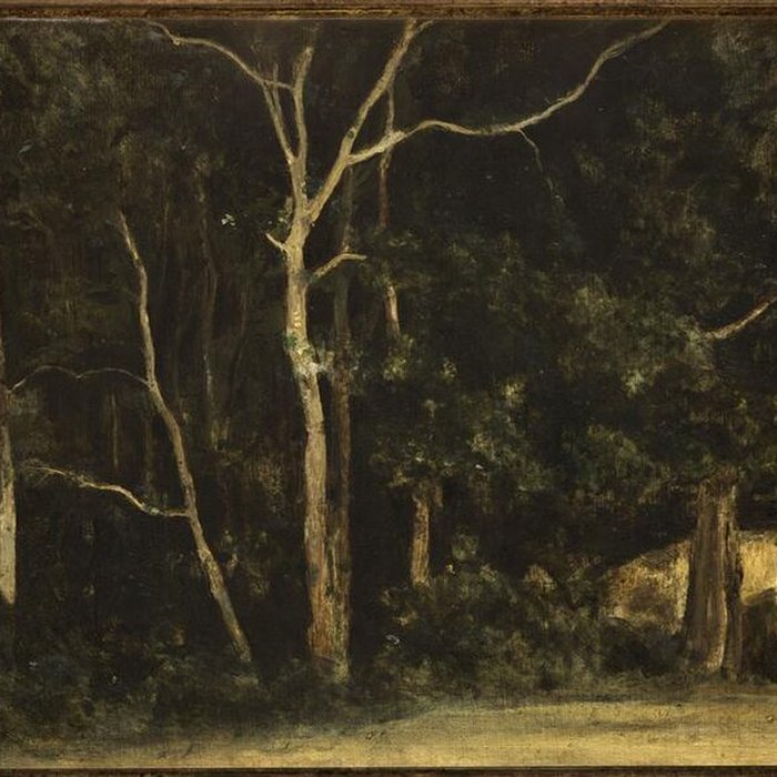 Photo de Musée des beaux-arts de Pau