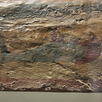 Musée des beaux-arts de Pau