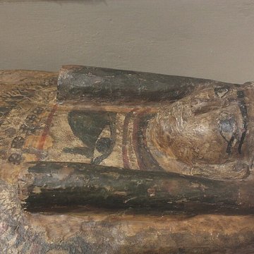 Musée des beaux-arts de Pau