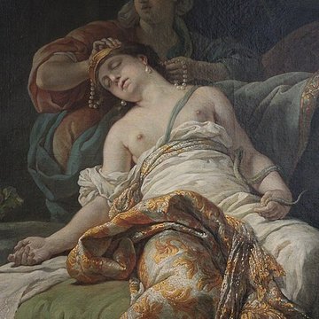 Musée des beaux-arts de Pau