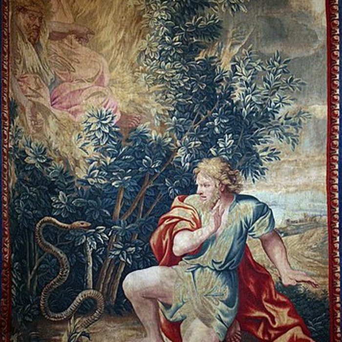 Photo de Musée du château de Pau