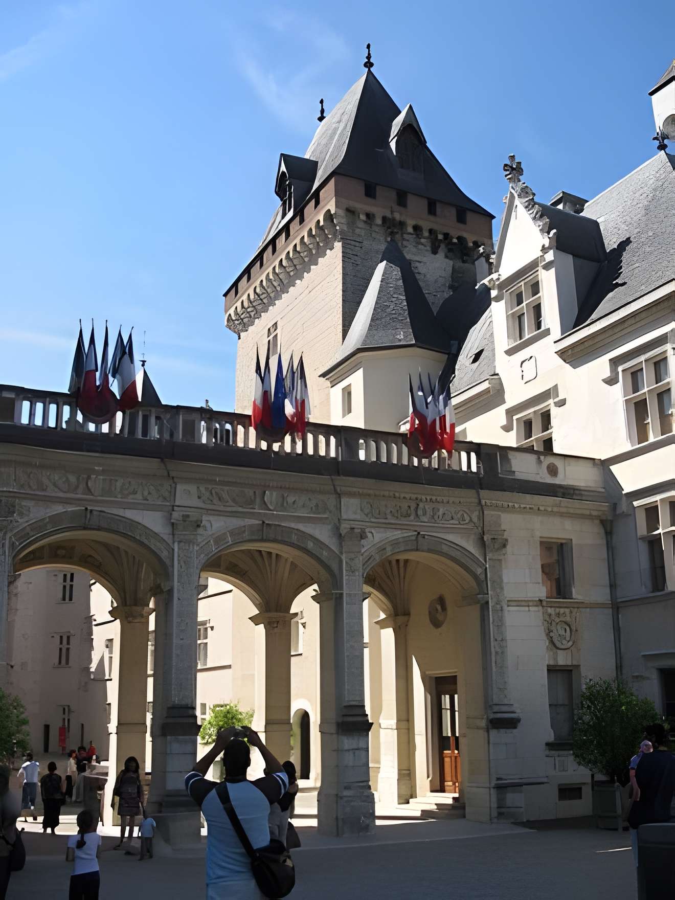 Musée du château de Pau 