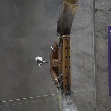 Musée basque et de lhistoire de Bayonne