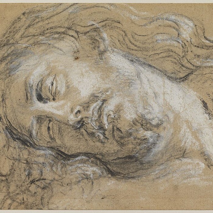 Photo de Musée Bonnat-Helleu à Bayonne