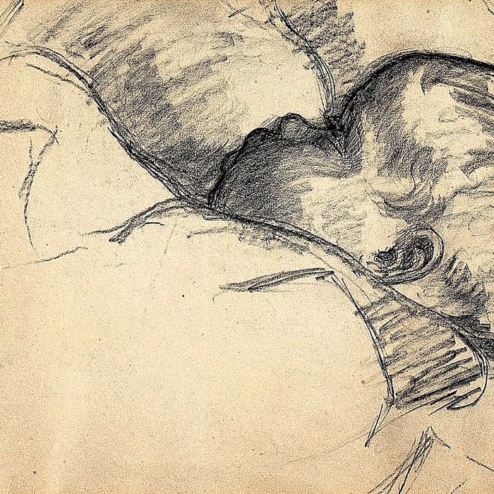 Photo de Musée Bonnat-Helleu à Bayonne