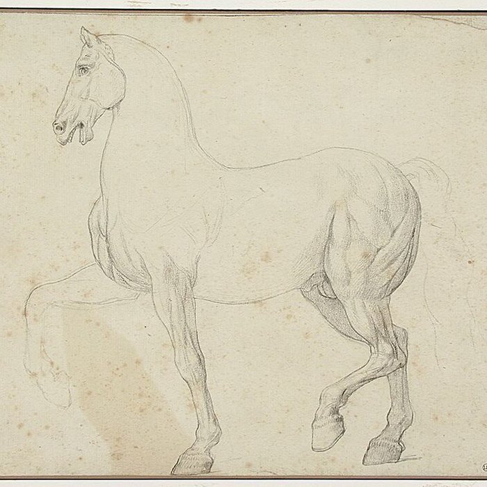 Photo de Musée Bonnat-Helleu à Bayonne