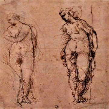 Musée Bonnat-Helleu à Bayonne