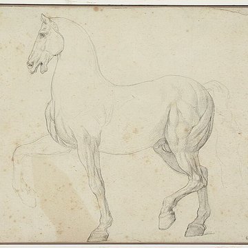 Musée Bonnat-Helleu à Bayonne