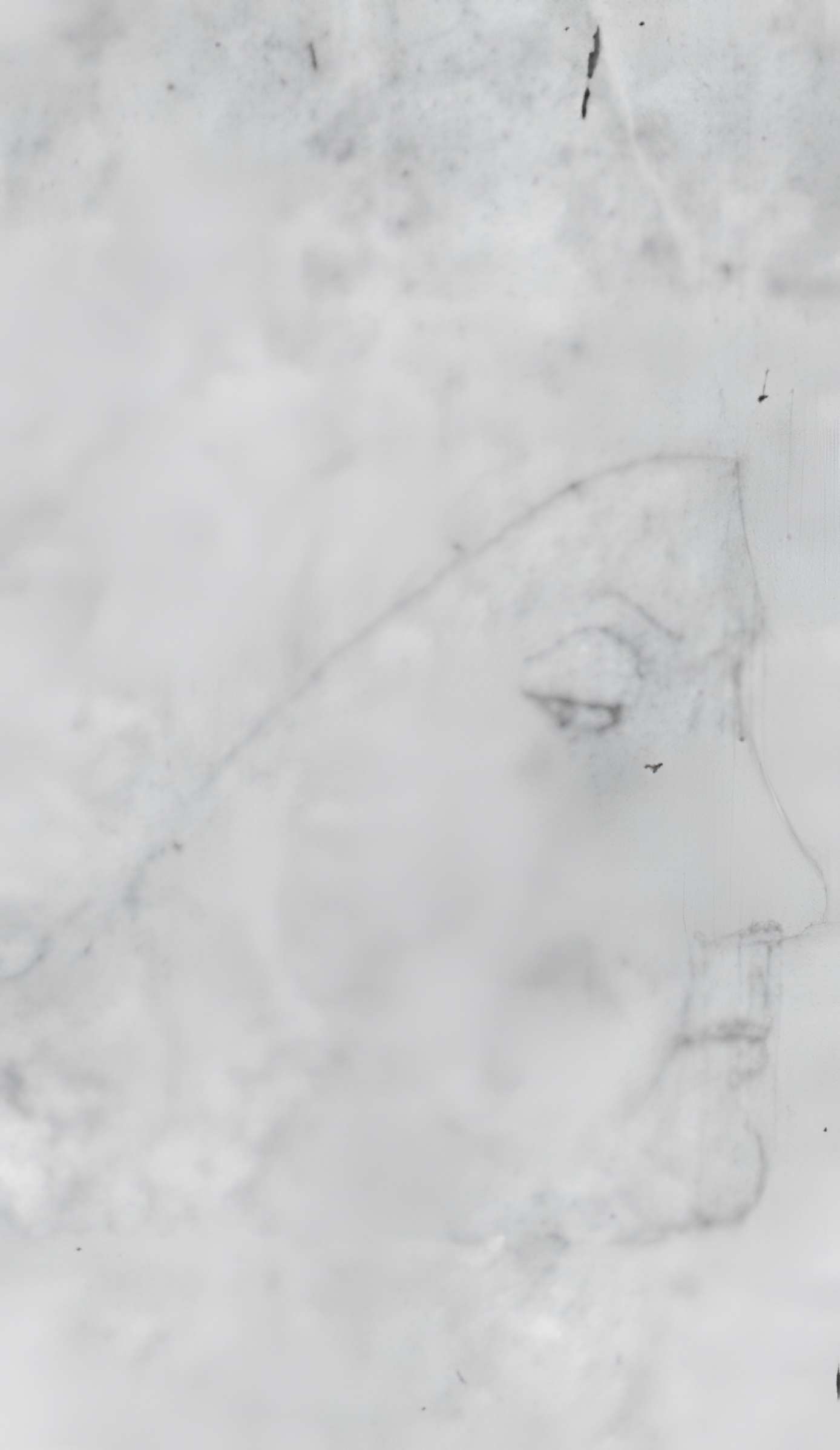 Musée Bonnat-Helleu à Bayonne