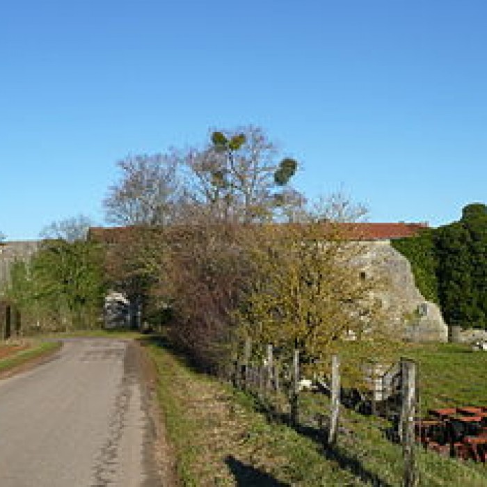 Photo de Château de Pierrefort