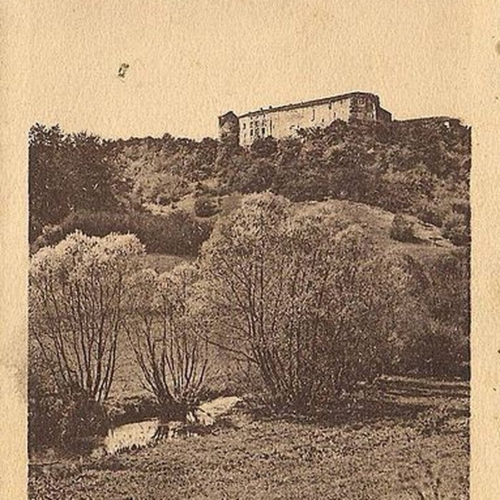 Photo de Château de Pierrefort