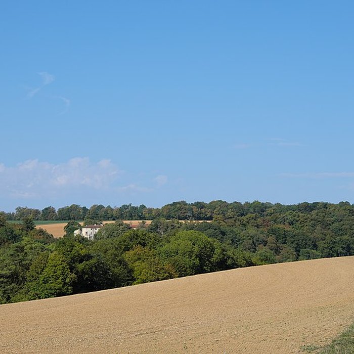 Photo de Château de Pierrefort
