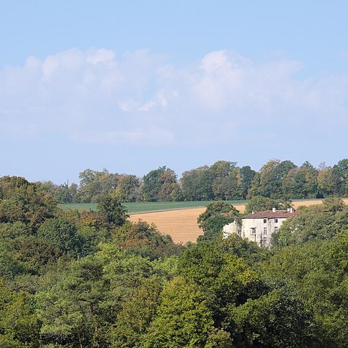 Photo de Château de Pierrefort