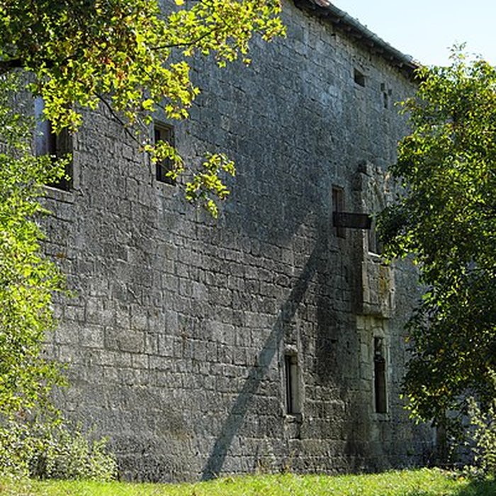 Photo de Château de Pierrefort