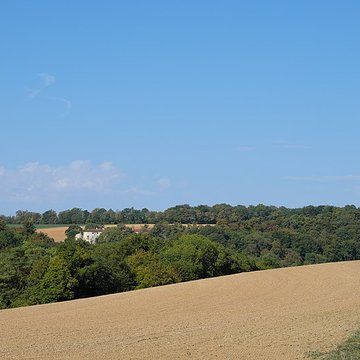 Château de Pierrefort