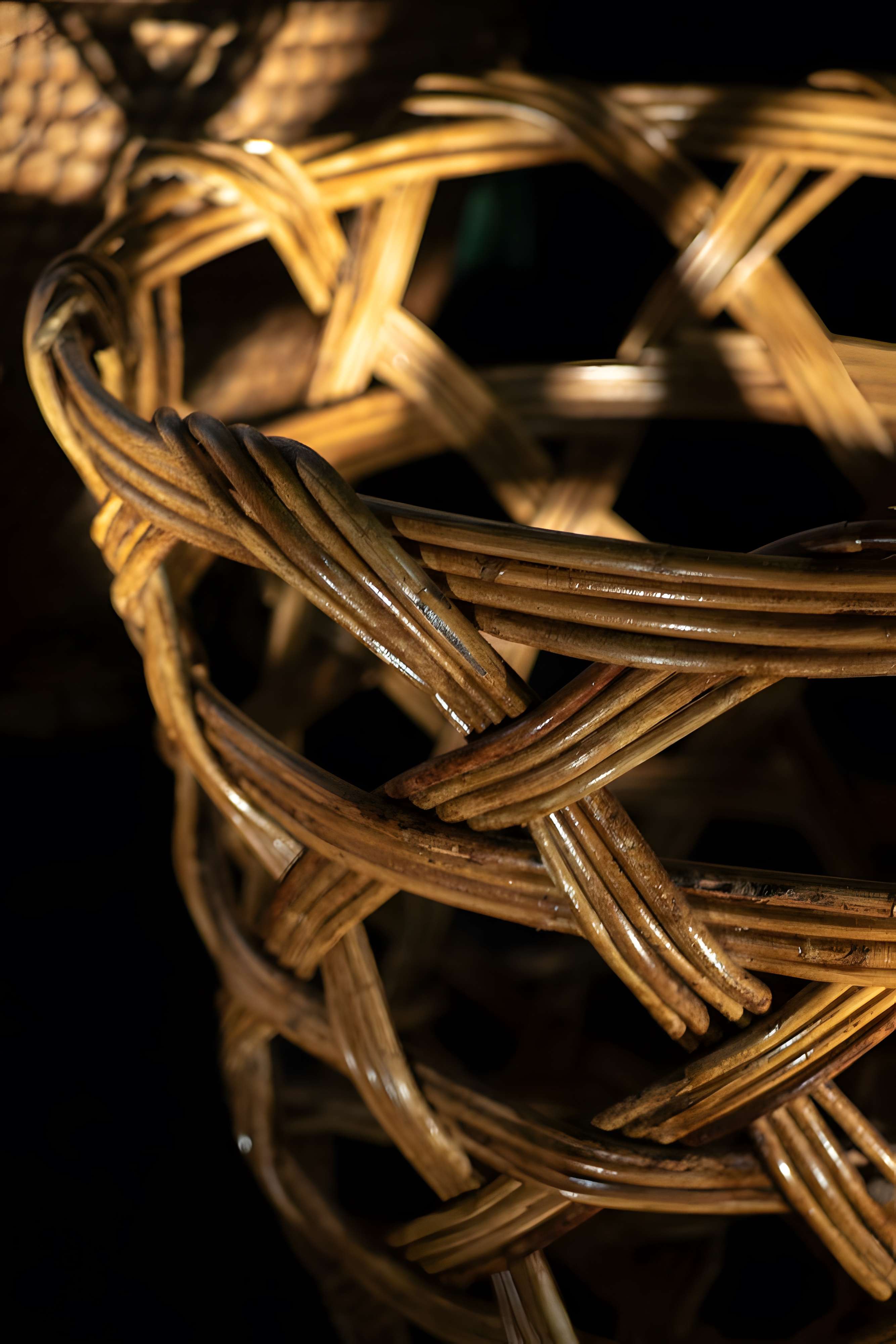 musee de la vannerie-l osarium au mayet-de-montagne 