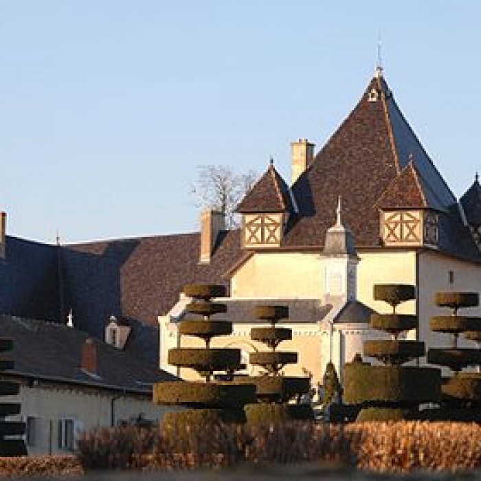 Photo de Château de Pizay