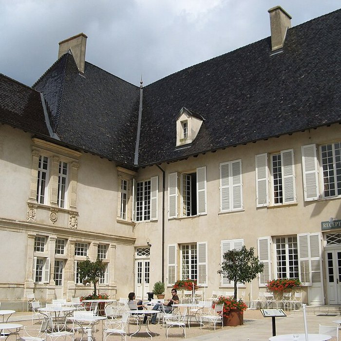 Photo de Château de Pizay