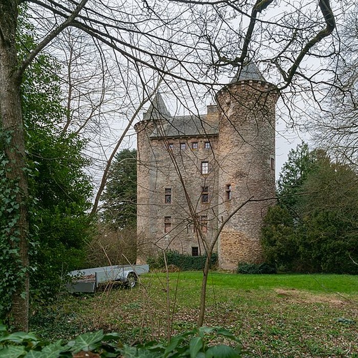 Photo de Château de Planèzes