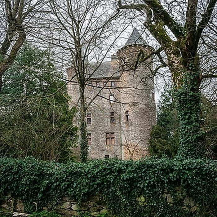 Photo de Château de Planèzes