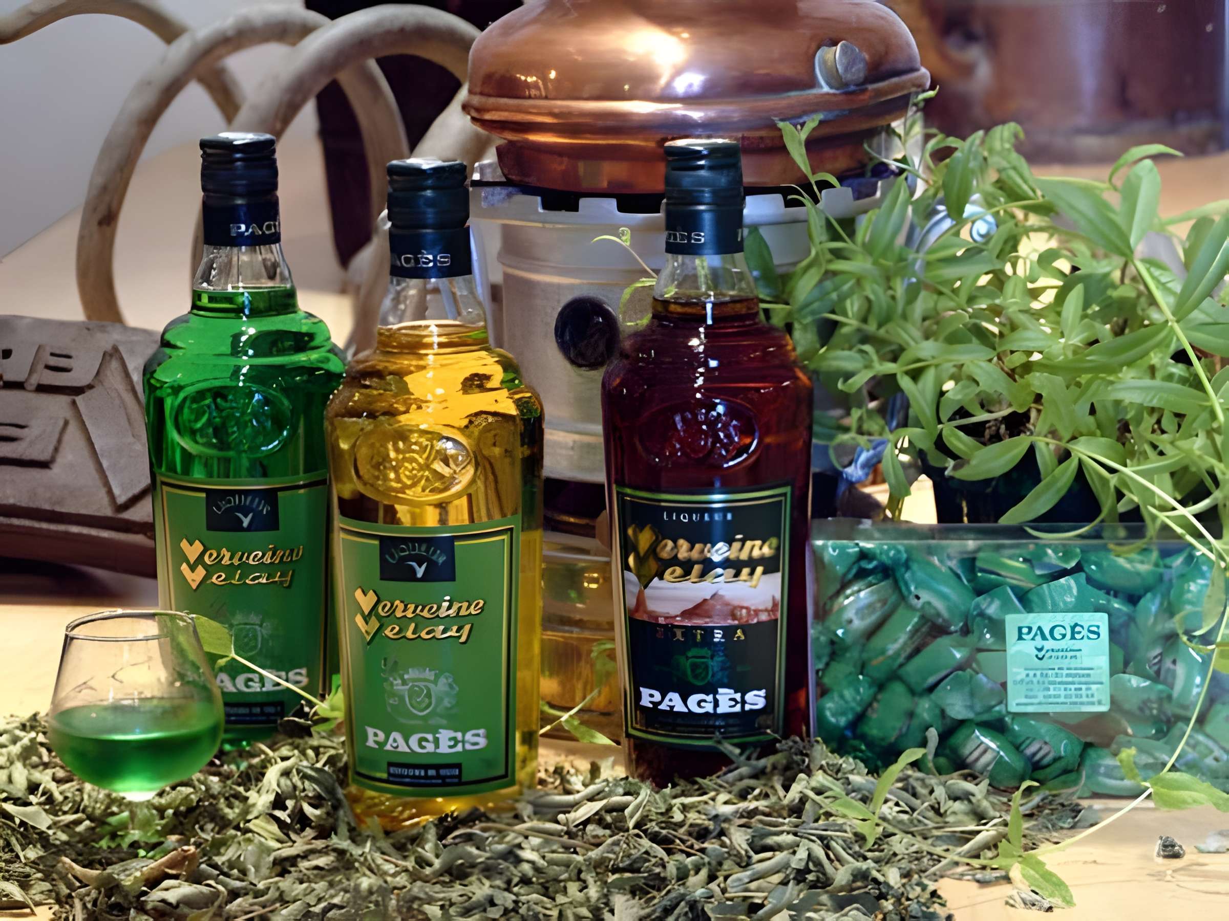 Espace Pagès Maison de la Verveine du Velay au Puy-en-Velay 