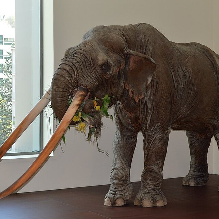 Photo de Musée Crozatier au Puy-en-Velay