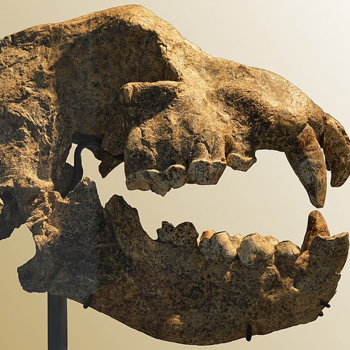 Photo de Musée Crozatier au Puy-en-Velay