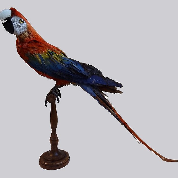 Photo de Musée Crozatier au Puy-en-Velay