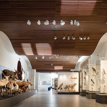 Musée Crozatier au Puy-en-Velay