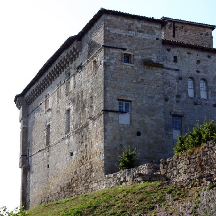 Photo de Château de Plieux