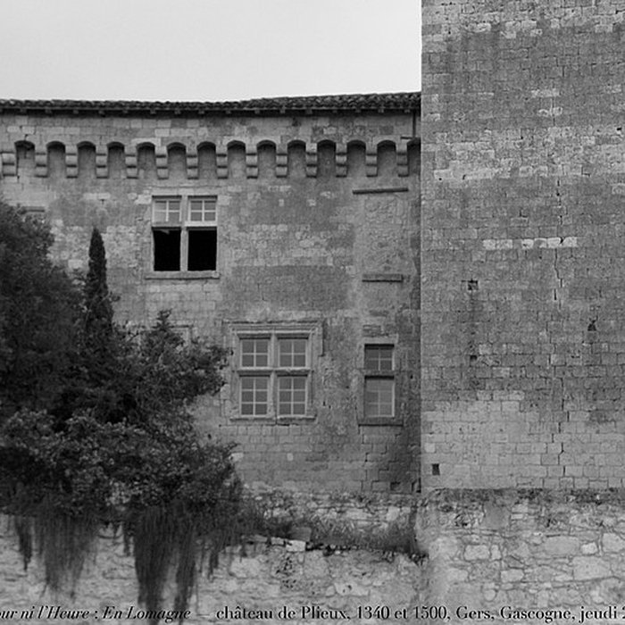 Photo de Château de Plieux