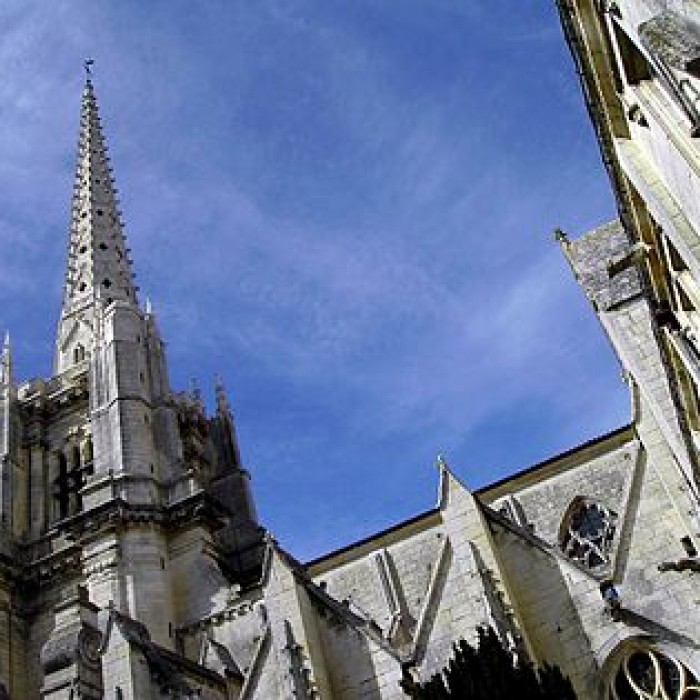 Photo de Cathédrale Notre-Dame-de-lAssomption de Luçon