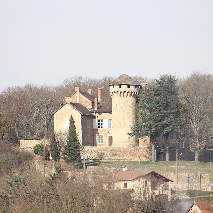 Photo de Château de Poizieu