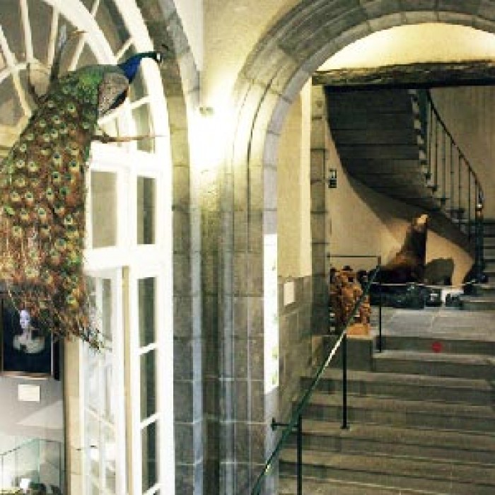 Photo de Muséum dhistoire naturelle Henri-Lecoq à Clermont-Ferrand