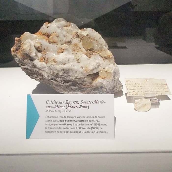 Photo de Muséum dhistoire naturelle Henri-Lecoq à Clermont-Ferrand