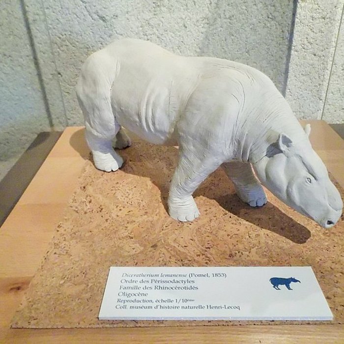 Photo de Muséum dhistoire naturelle Henri-Lecoq à Clermont-Ferrand