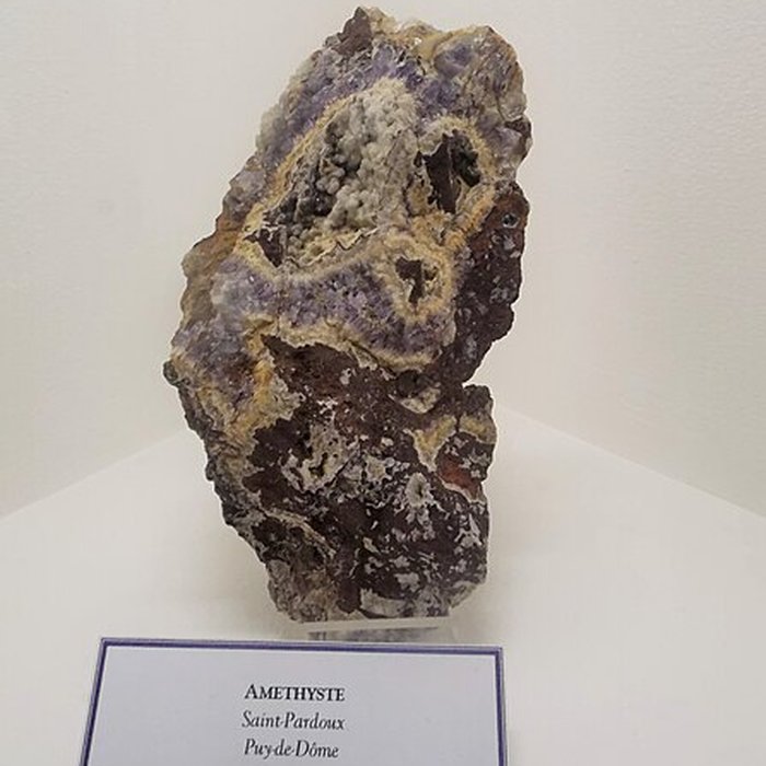 Photo de Muséum dhistoire naturelle Henri-Lecoq à Clermont-Ferrand