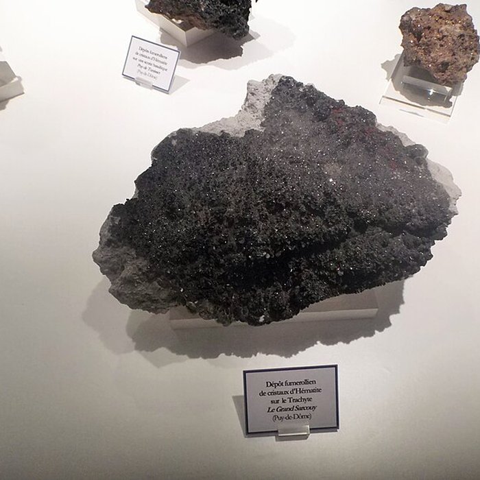 Photo de Muséum dhistoire naturelle Henri-Lecoq à Clermont-Ferrand