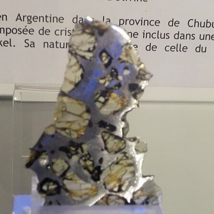 Photo de Muséum dhistoire naturelle Henri-Lecoq à Clermont-Ferrand