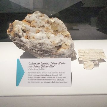 Muséum dhistoire naturelle Henri-Lecoq à Clermont-Ferrand