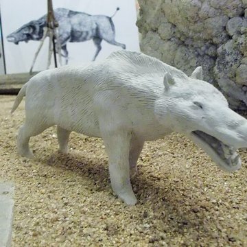 Muséum dhistoire naturelle Henri-Lecoq à Clermont-Ferrand