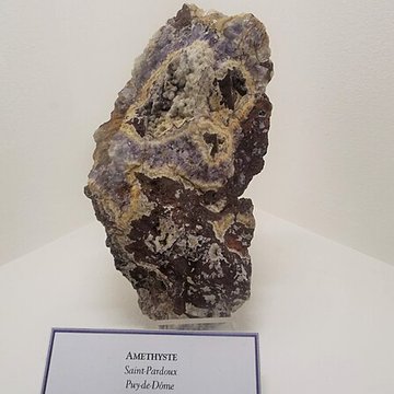 Muséum dhistoire naturelle Henri-Lecoq à Clermont-Ferrand