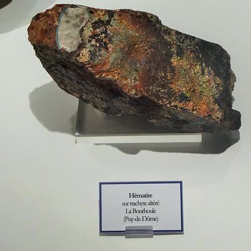 Muséum dhistoire naturelle Henri-Lecoq à Clermont-Ferrand