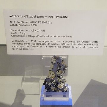 Muséum dhistoire naturelle Henri-Lecoq à Clermont-Ferrand