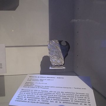 Muséum dhistoire naturelle Henri-Lecoq à Clermont-Ferrand