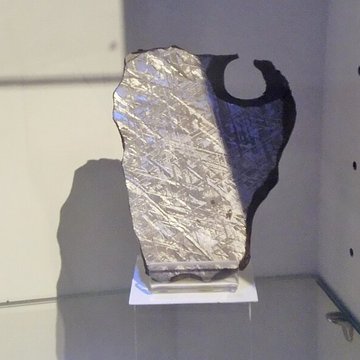 Muséum dhistoire naturelle Henri-Lecoq à Clermont-Ferrand