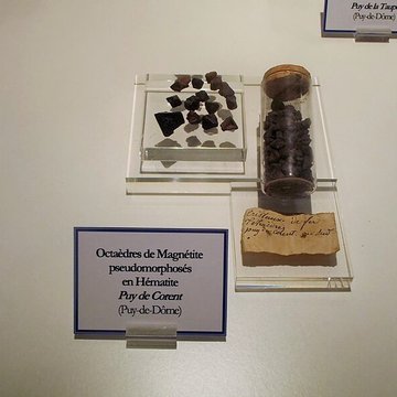 Muséum dhistoire naturelle Henri-Lecoq à Clermont-Ferrand